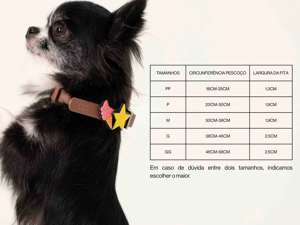 Detalhes da nossa coleira personalizável: 