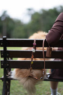 <strong>     Barkz</strong>