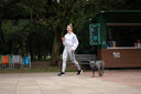 <h3>Daily Walk Kit</h3>