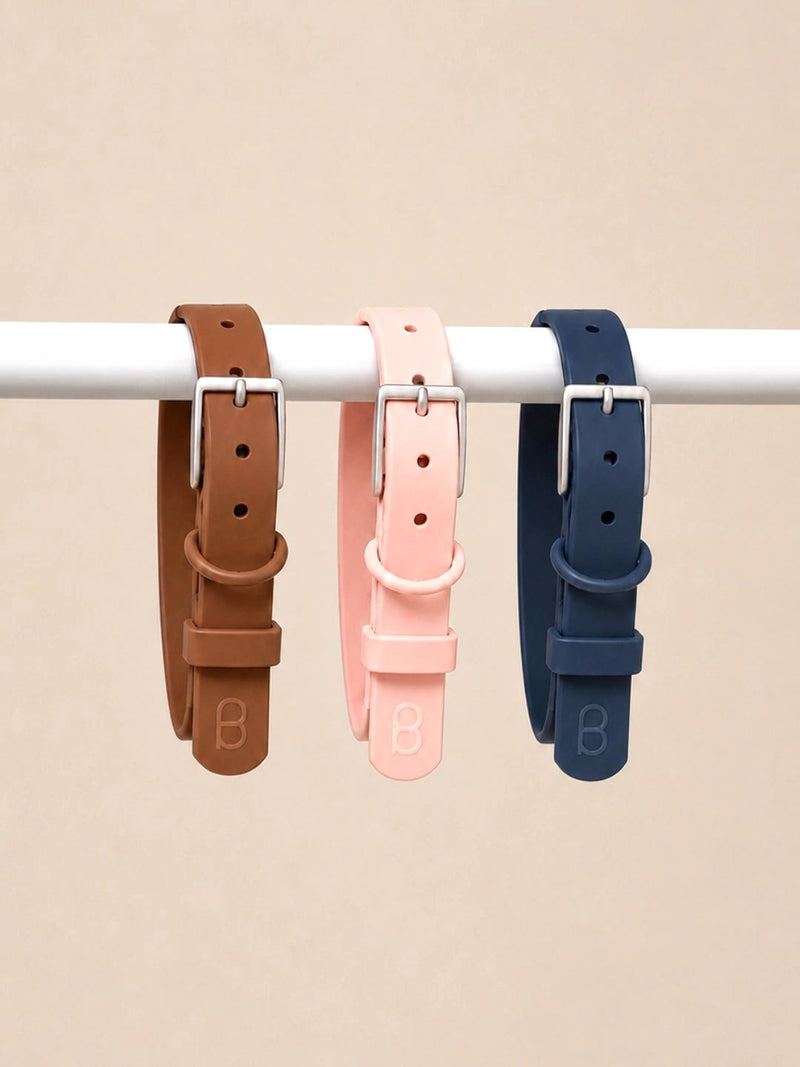 Coleiras Patta nas cores Coffee, Gummy e Navy