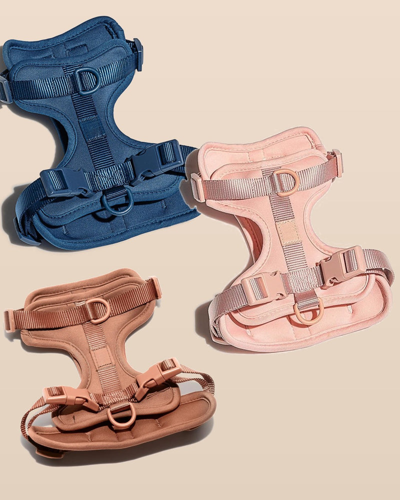 Peitorais Patta nas cores Navy, Gummy e Coffee